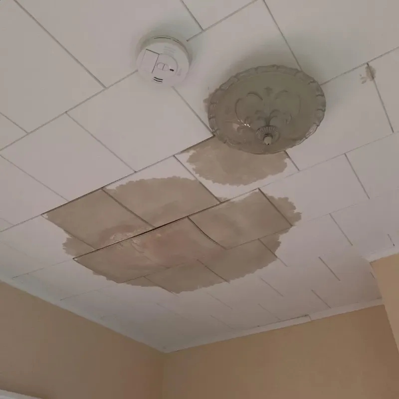 Ceiling Water Damage Repair in Galliano, LA